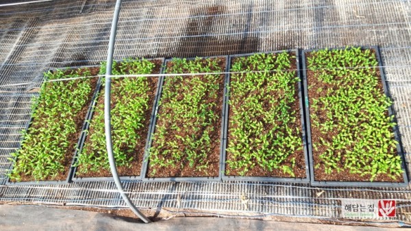 3ed9f0045b0c2f4c97982f793769ae21_1489370