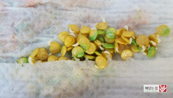 3ed9f0045b0c2f4c97982f793769ae21_1489370