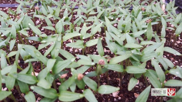 3ed9f0045b0c2f4c97982f793769ae21_1489370