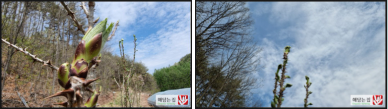 ba5de1419413d5cd91cc80bcbcc3e71c_1620004