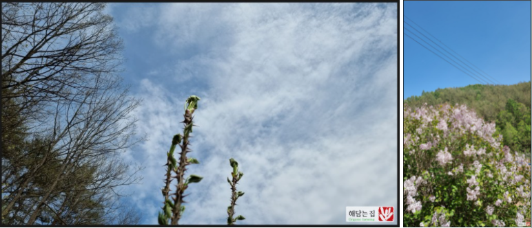 0978619b423360ed64fc29ef9057cc94_1626771