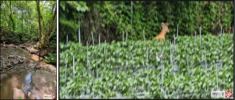 0978619b423360ed64fc29ef9057cc94_1626771